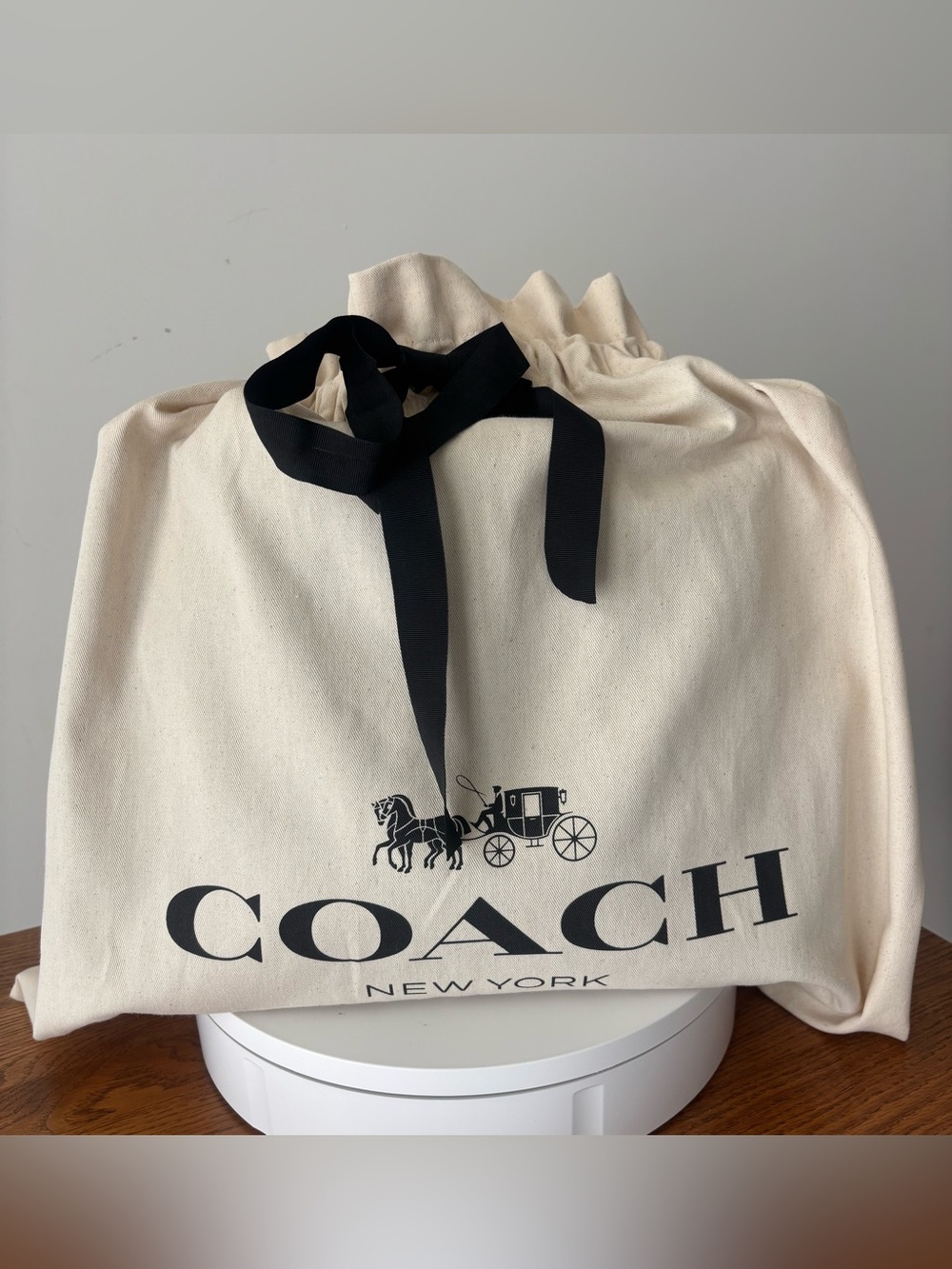 COACH NWT Evelyn Shoulder Bag in Regenerative Cotton with Quilting + Dust Bag - Picture 11 of 11